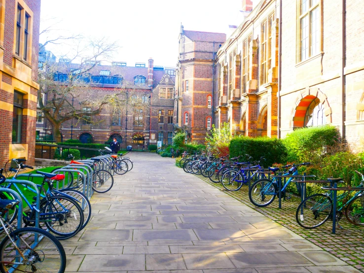 a row of bicycles lined up on the sidewalk