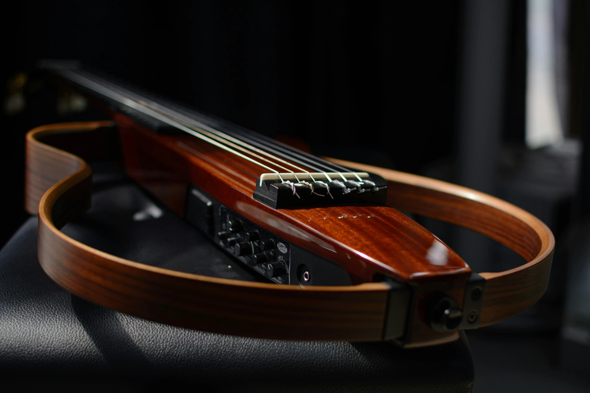 a closeup of a guitar case on display