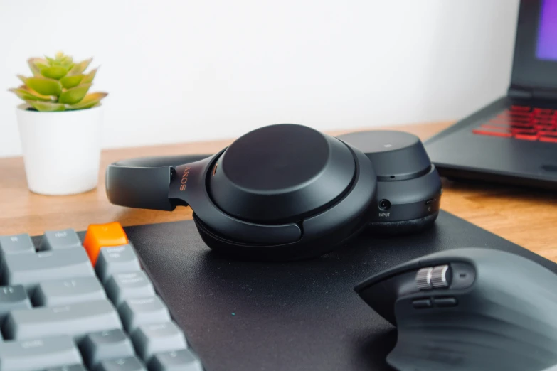 a computer keyboard, headphones, and a plant on top of it