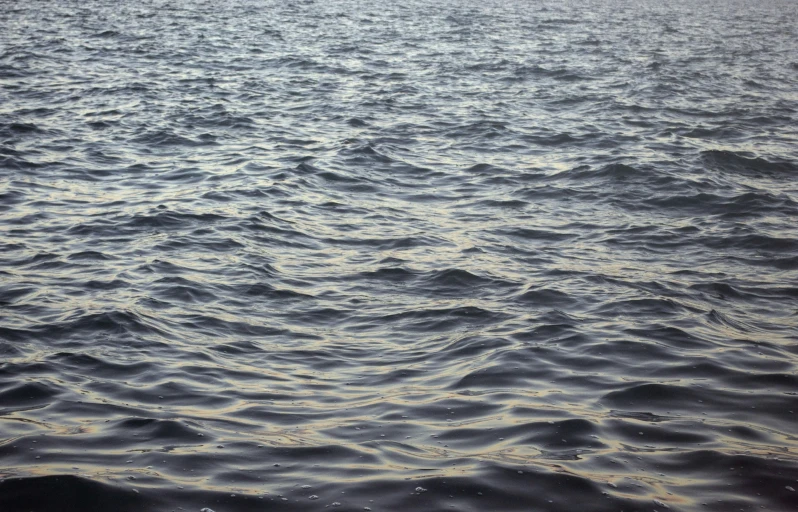 a po taken from the sea as waves move across