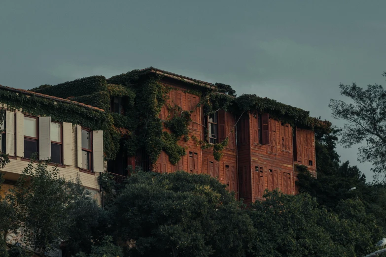 a large building with vines on it sitting next to trees