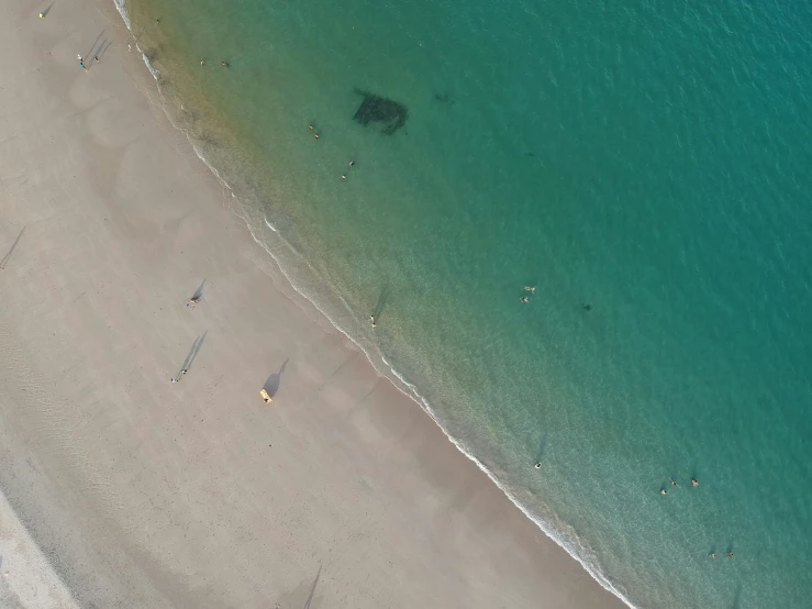 an aerial view of people walking on a beach