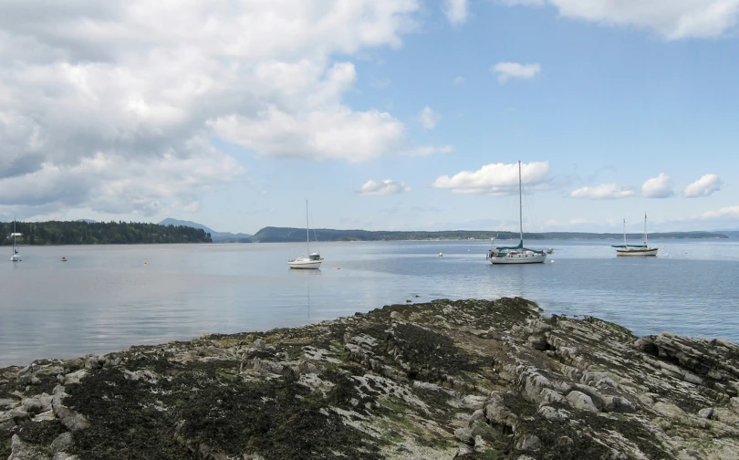 boats floating in a large body of water