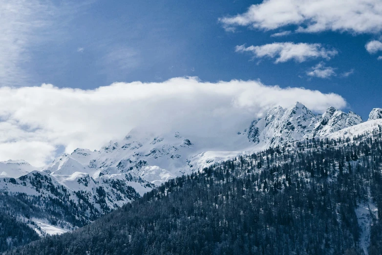 a mountain covered in lots of snow surrounded by forest