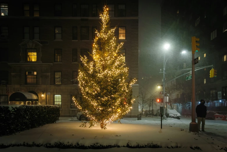 there is a lit tree in the snow at night