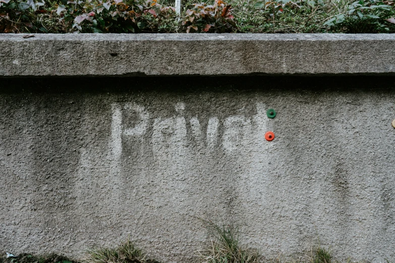 the two flowers are on the wall along with some concrete