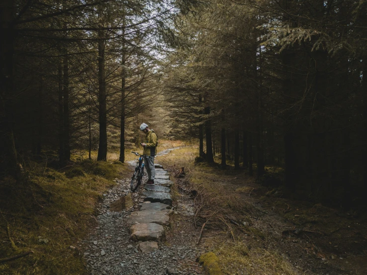 the lone biker in the dark forest with the trees on either side of his path