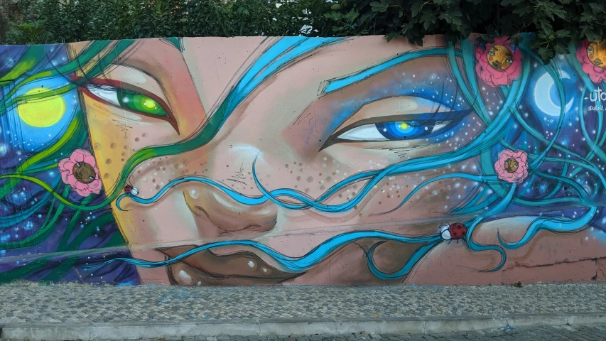 a mural of the face and body of a woman, on a wall