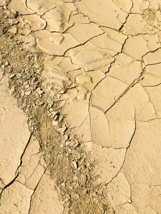 the sandy beach is covered with mud and sand