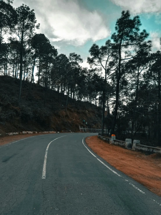 an empty road through a forested area with trees and grass