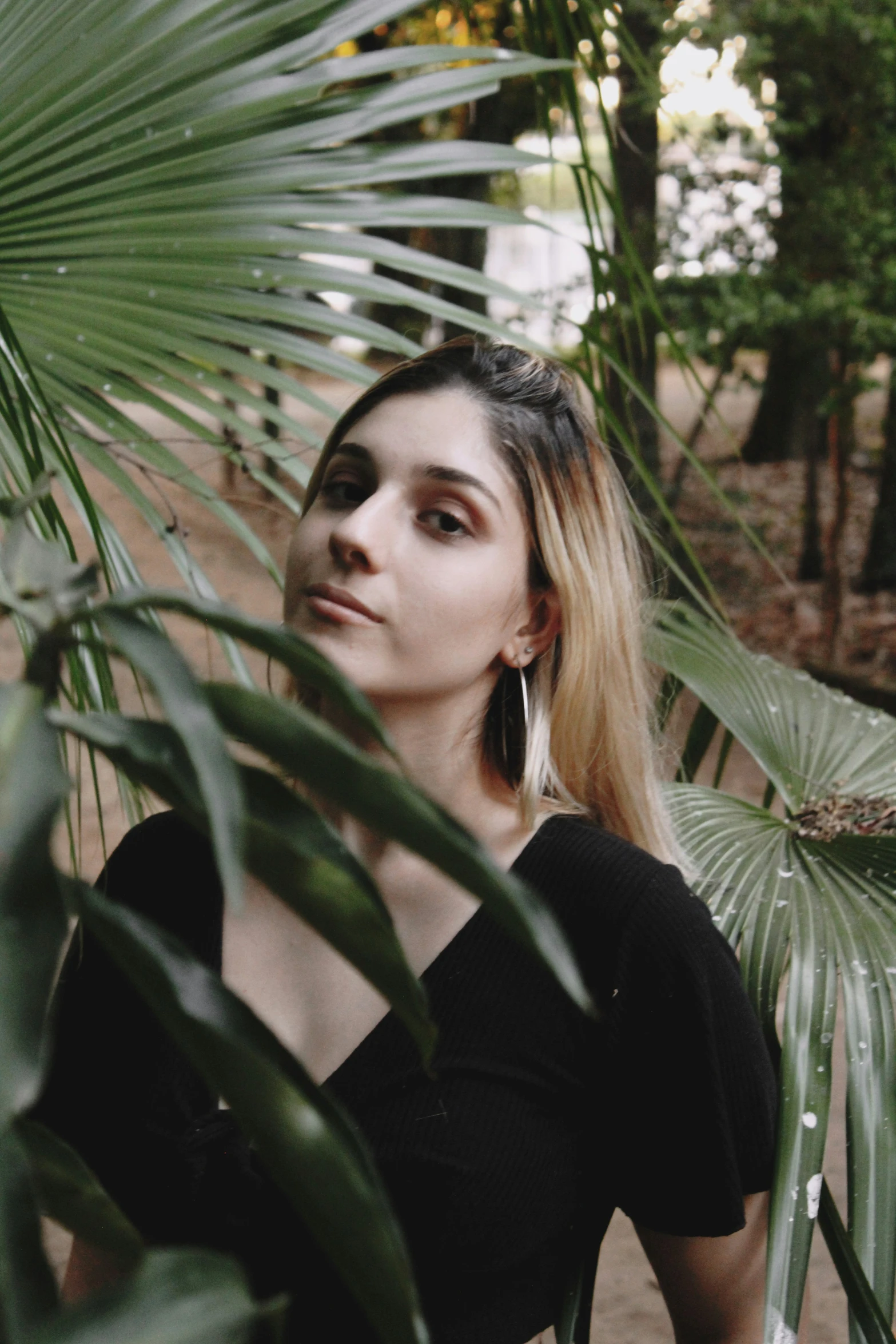 a person sitting on the ground among palm trees