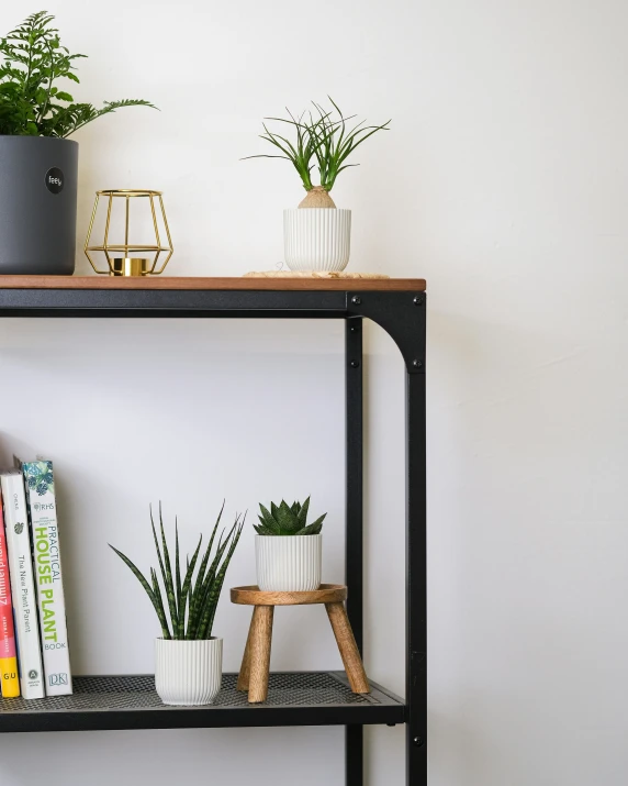 a shelf holding two planters and some books