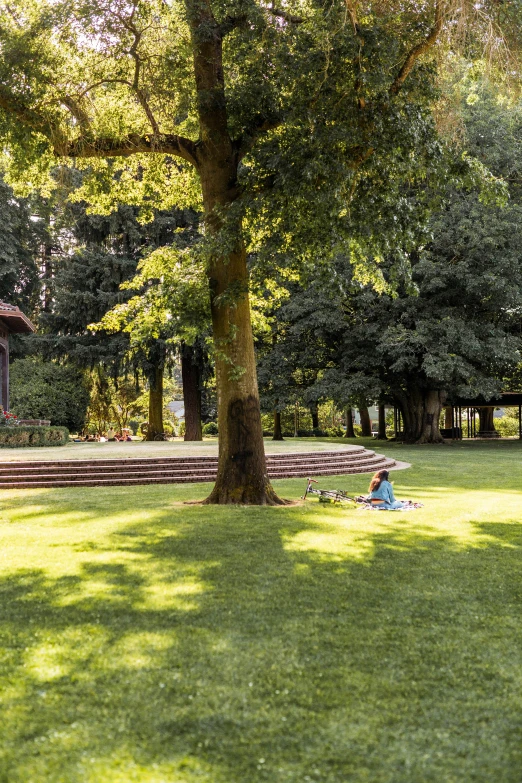 an image of a person sitting on the ground by a tree