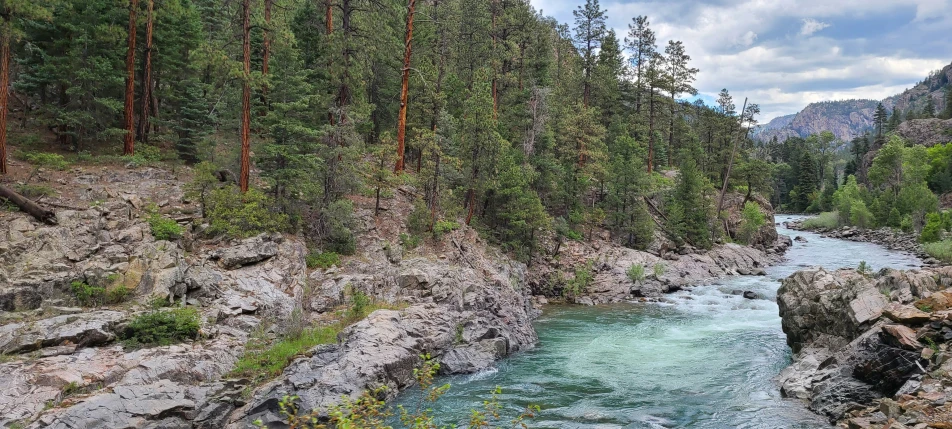 river in a rocky area next to trees and rocks