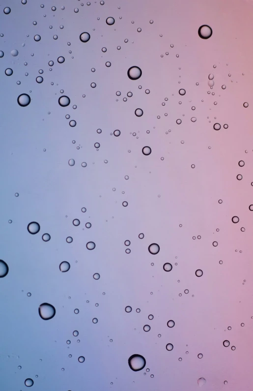 a close up of water droplets on the window