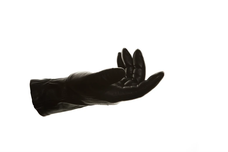 black gloves with palm flaps on white background