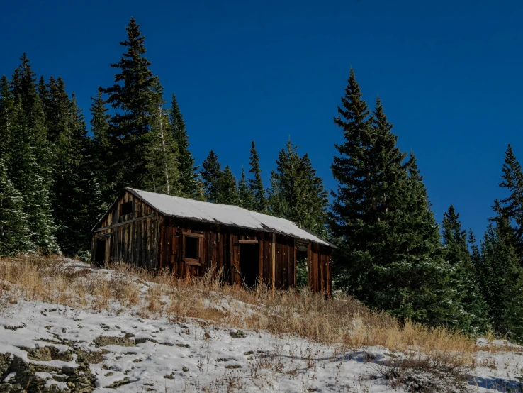 a snow covered hillside next to some pine trees