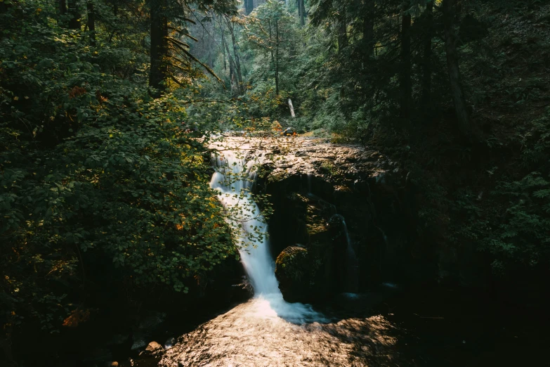 this is a small waterfall in the woods