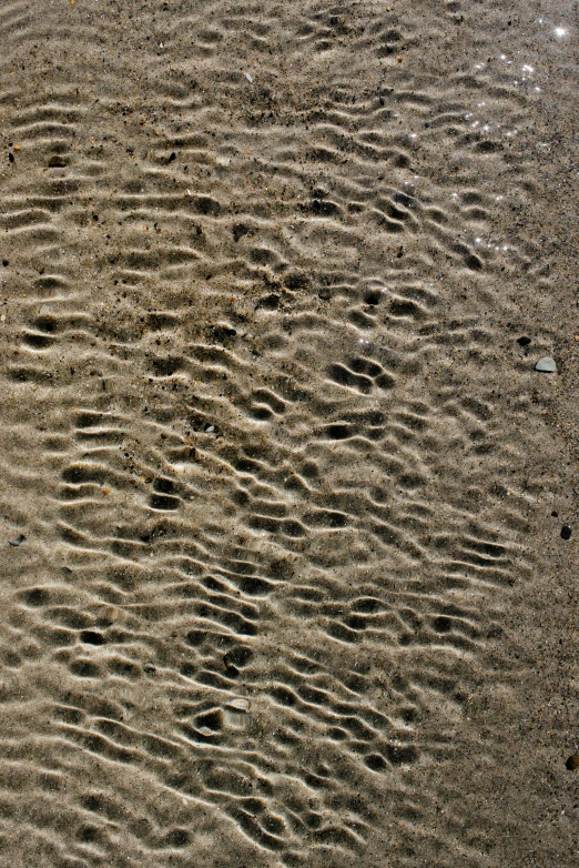 an image of the ground and surface of a beach