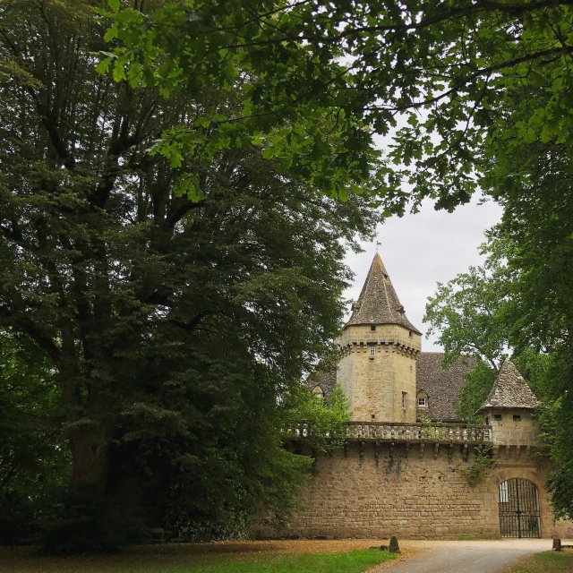 a picture of a very tall castle near trees