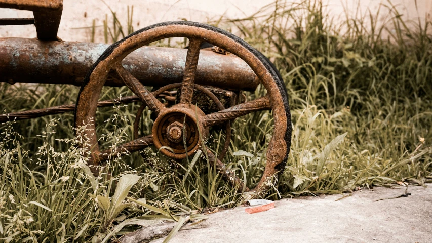 an old antique fire hydrant is partially overgrown with weeds