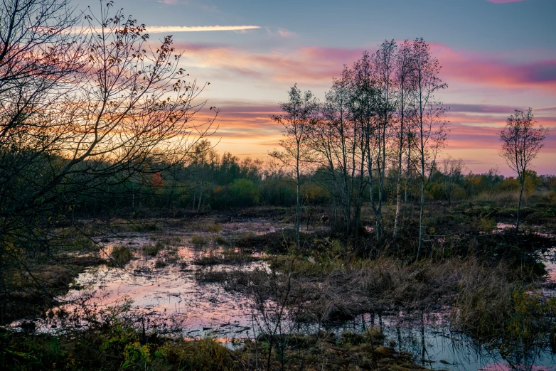 a swamp filled with water under a colorful sky