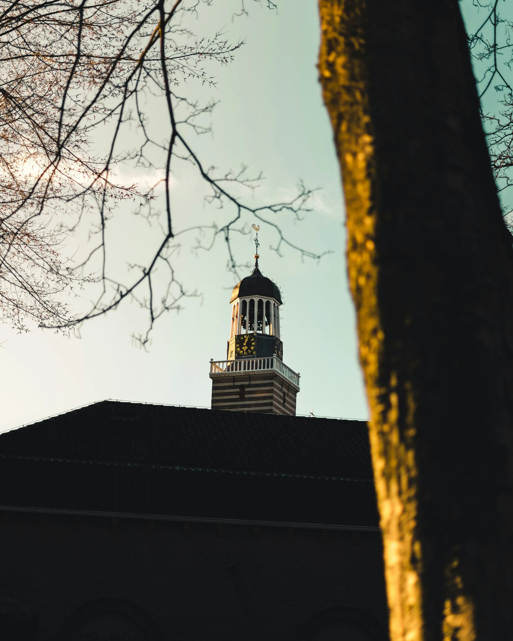 a view of a clock tower from underneath