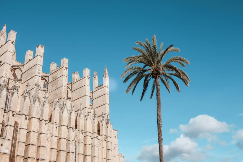 an intricately detailed stone cathedral against the sky