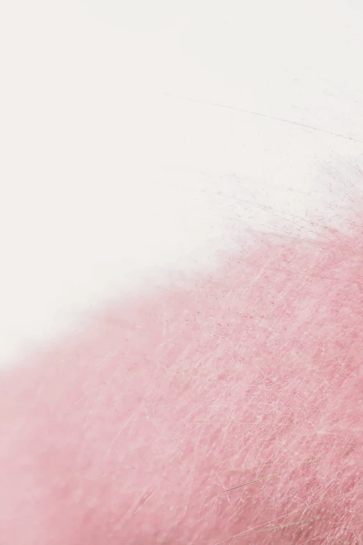 a pink fluffy material is blurry against a white wall