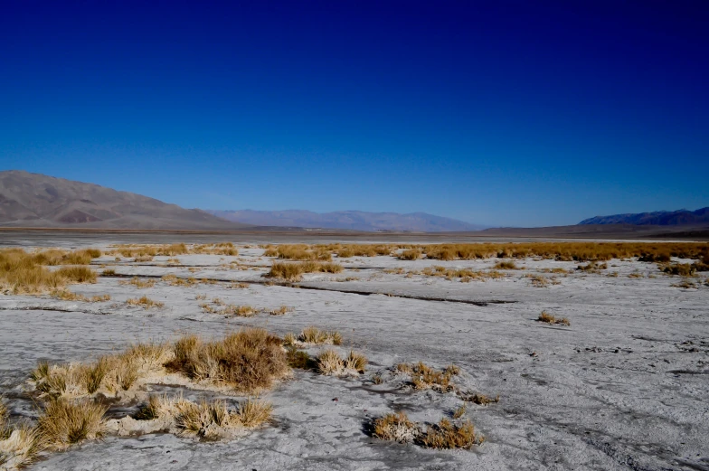 a field is shown with mountains in the background