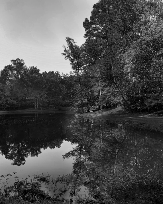 a black and white picture of a lake surrounded by trees