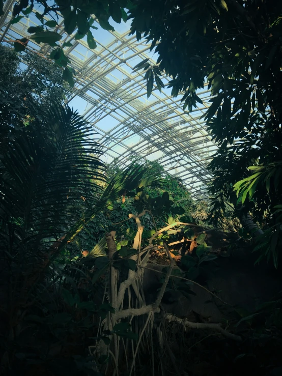 an indoor plant covered space with plants and plants