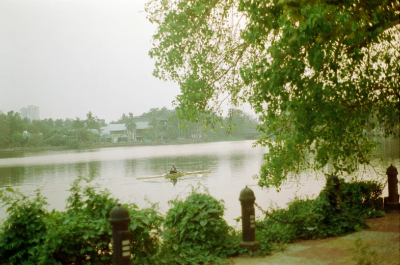 two people in a row boat on the lake