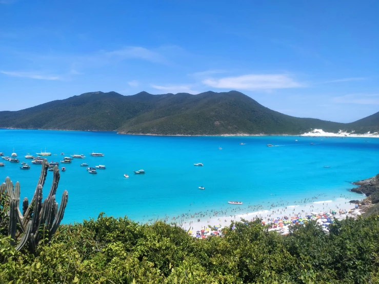 the beach is surrounded by trees and boats