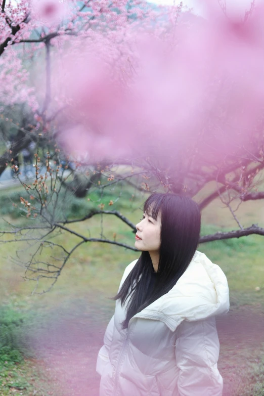 a woman is standing under a cherry tree