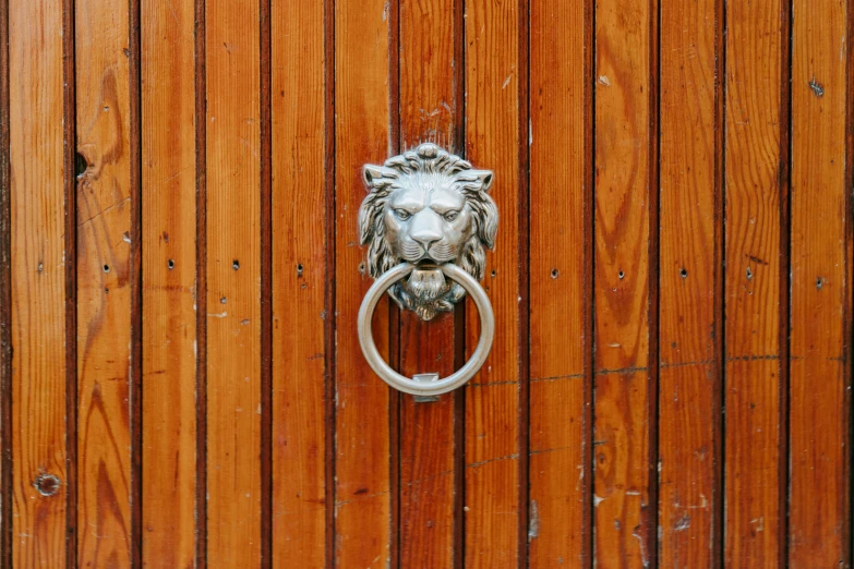 the door handle on a wooden door is ring