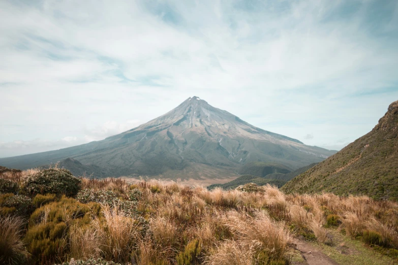 a mountain is shown with tall grass and weeds