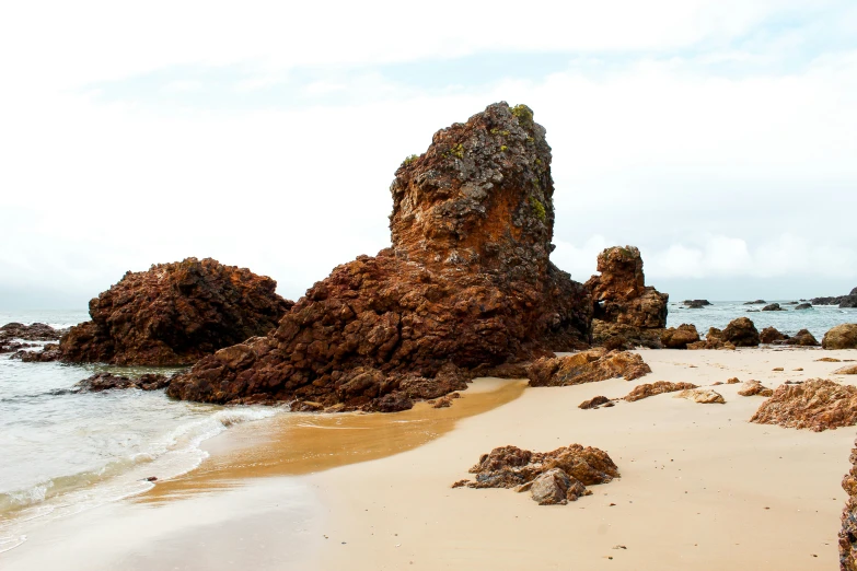 sand covered with algae and rocks at the edge of the water