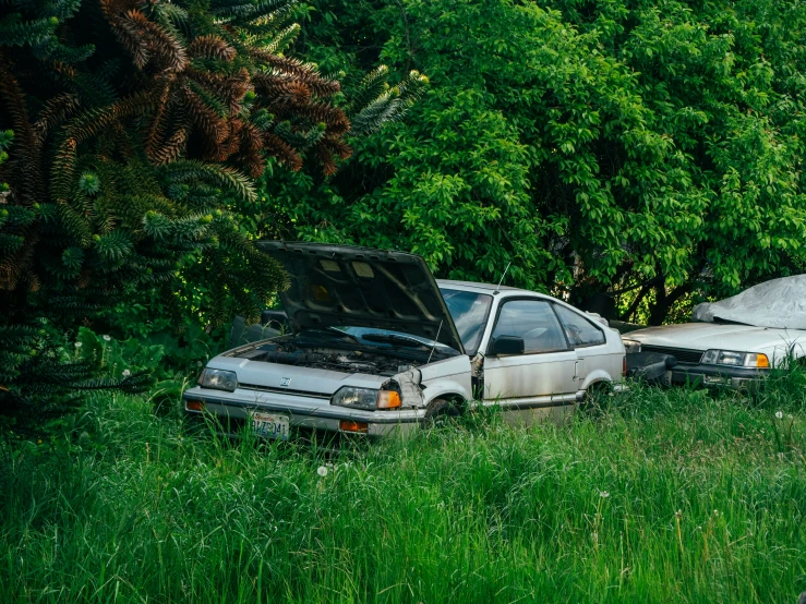 two cars in grass with the hood up and the front hood open