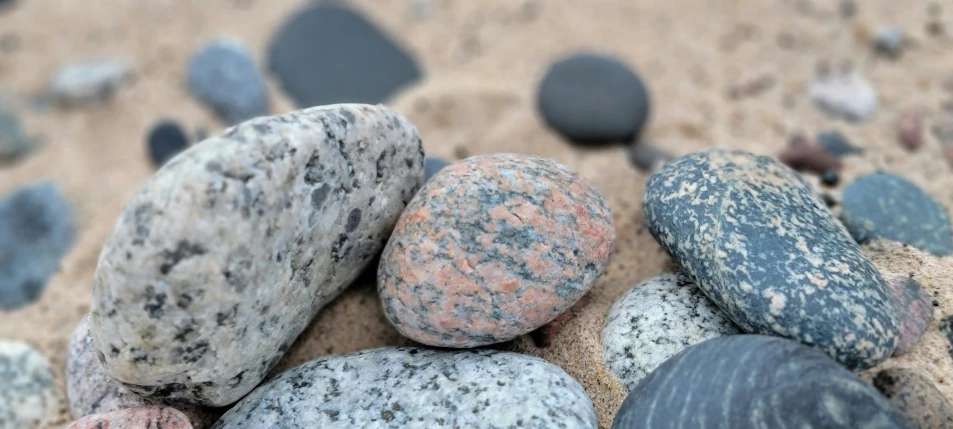 many rocks and shells have the shape like pebbles