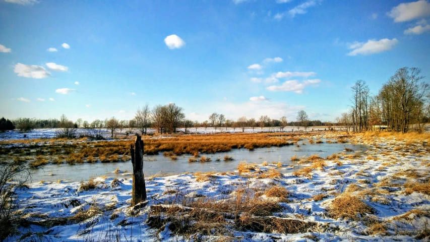 snowy field and lake near wooden posts in grass