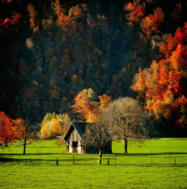 a green pasture covered in lots of trees