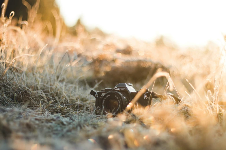 a camera and lens cap in some long grass