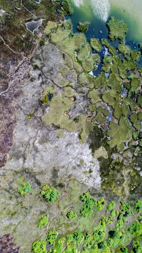 a view of the ocean, land and water from above