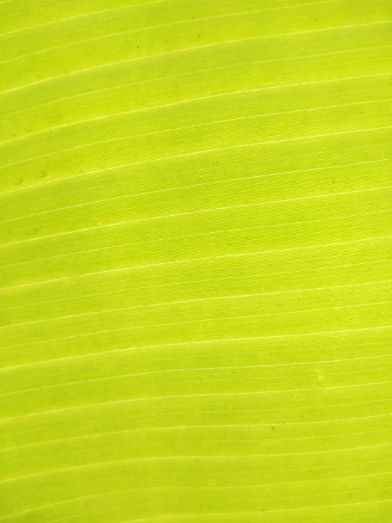 the side of a green field that is glowing