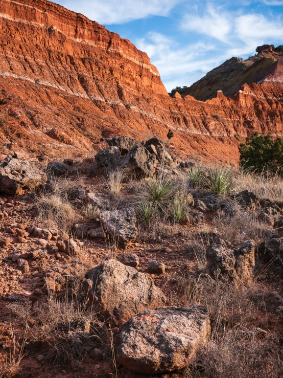 a rock formation near a dry and dead landscape