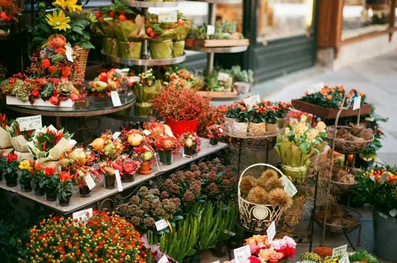 colorful flowers for sale on a farmers market stand