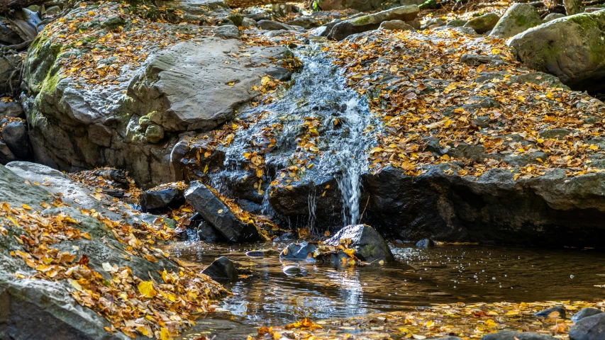 a small waterfall falling into a pond of water surrounded by rocks