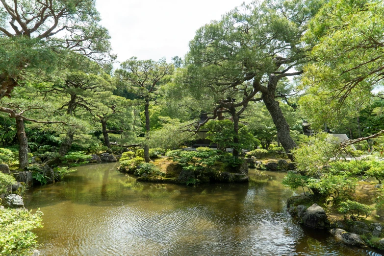 a river is surrounded by trees with no leaves on it