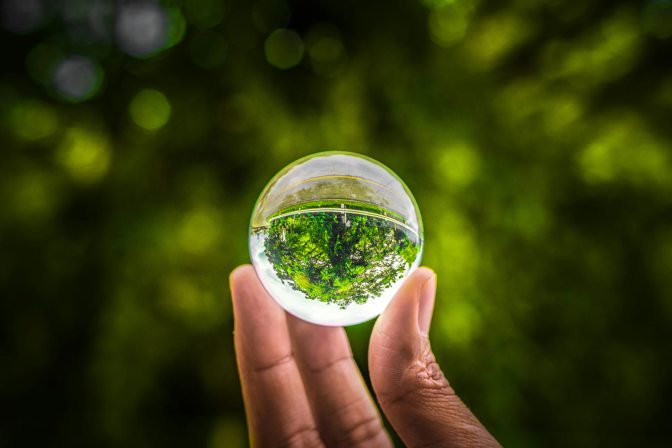 hand holding small glass ball in grass